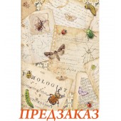 Бумага рисовая для декупажа Stamperia DFSA41119 "Заметки, страницы и насекомые", А4